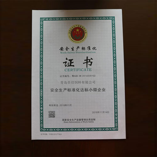 安全生产标准证书